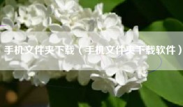 手机文件夹下载（手机文件夹下载软件）