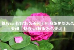 魅族root权限怎么关闭手机系统更新怎么关闭「魅族root权限怎么关闭」