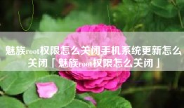 魅族root权限怎么关闭手机系统更新怎么关闭「魅族root权限怎么关闭」