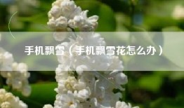 手机飘雪（手机飘雪花怎么办）