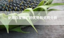 使用百度推广的优势和劣势分析