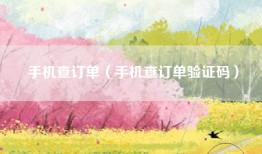 手机查订单（手机查订单验证码）