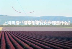 上海昕搜：搜索引擎优化步骤是什么？