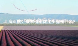 上海昕搜：搜索引擎优化步骤是什么？