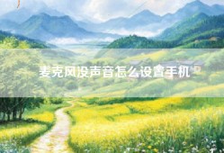麦克风没声音怎么设置手机