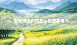 麦克风没声音怎么设置手机