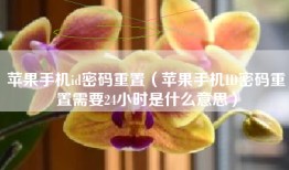 苹果手机id密码重置（苹果手机ID密码重置需要24小时是什么意思）