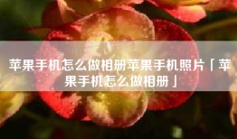 苹果手机怎么做相册苹果手机照片「苹果手机怎么做相册」