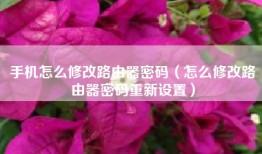 手机怎么修改路由器密码（怎么修改路由器密码重新设置）