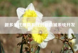 趣多多代理商系统创新商城系统开发