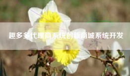 趣多多代理商系统创新商城系统开发