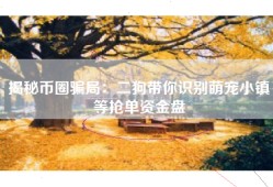 揭秘币圈骗局：二狗带你识别萌宠小镇等抢单资金盘