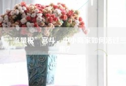 “流量税”宫斗，中小商家如何活过三集？
