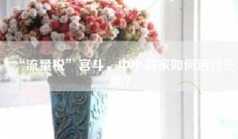 “流量税”宫斗，中小商家如何活过三集？