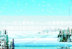 iPhone13怎么看内存 iPhone13在哪里看内存占用情况手机内存大小怎么看「iPhone13怎么看内存 iPhone13在哪里看内存占用情况」