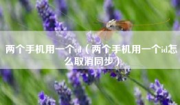 两个手机用一个id（两个手机用一个id怎么取消同步）