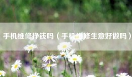手机维修挣钱吗（手机维修生意好做吗）