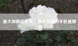最大屏幕的手机（最大屏幕的手机是哪一款）