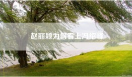 赵丽颖为何看上冯绍峰