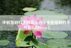 手机密码打不开怎么办（手机密码打不开怎么办honor）