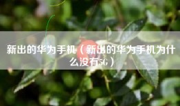 新出的华为手机（新出的华为手机为什么没有5G）