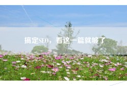 搞定SEO，看这一篇就够了