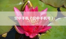 空中手机（空中手机号）