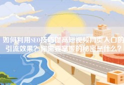 如何利用SEO技巧提高短视频网页入口的引流效果？你需要掌握的秘密是什么？