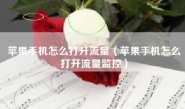 苹果手机怎么打开流量（苹果手机怎么打开流量监控）