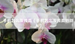 手机怎么发传真（手机怎么发传真给别人）
