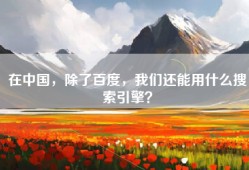在中国，除了百度，我们还能用什么搜索引擎？