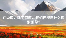 在中国，除了百度，我们还能用什么搜索引擎？