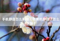 手机静音怎么解除（苹果机静音了怎么恢复）