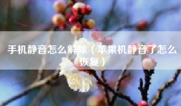 手机静音怎么解除（苹果机静音了怎么恢复）