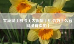 大流量手机卡（大流量手机卡为什么官网没有卖的）
