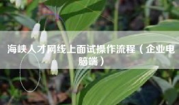 海峡人才网线上面试操作流程（企业电脑端）