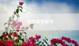 游戏脚本编写