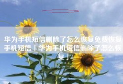 华为手机短信删除了怎么恢复免费恢复手机短信「华为手机短信删除了怎么恢复」