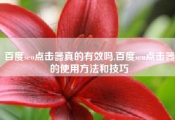 百度seo点击器真的有效吗,百度seo点击器的使用方法和技巧