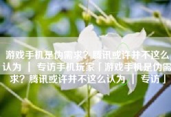 游戏手机是伪需求？腾讯或许并不这么认为 ｜ 专访手机玩家「游戏手机是伪需求？腾讯或许并不这么认为 ｜ 专访」