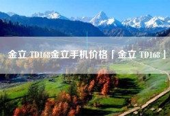 金立 TD168金立手机价格「金立 TD168」