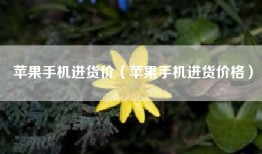 苹果手机进货价（苹果手机进货价格）