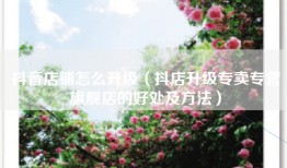 抖音店铺怎么升级（抖店升级专卖专营旗舰店的好处及方法）