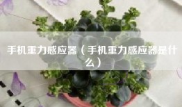 手机重力感应器（手机重力感应器是什么）