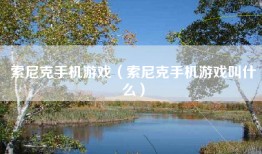 索尼克手机游戏（索尼克手机游戏叫什么）