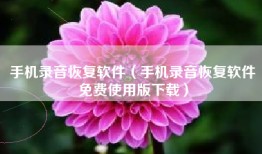 手机录音恢复软件（手机录音恢复软件免费使用版下载）