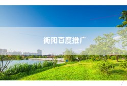 衡阳百度推广