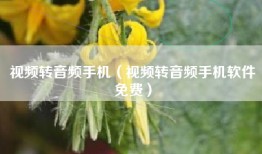 视频转音频手机（视频转音频手机软件免费）