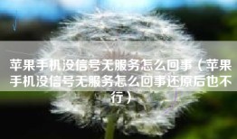 苹果手机没信号无服务怎么回事（苹果手机没信号无服务怎么回事还原后也不行）