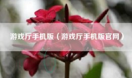 游戏厅手机版（游戏厅手机版官网）
